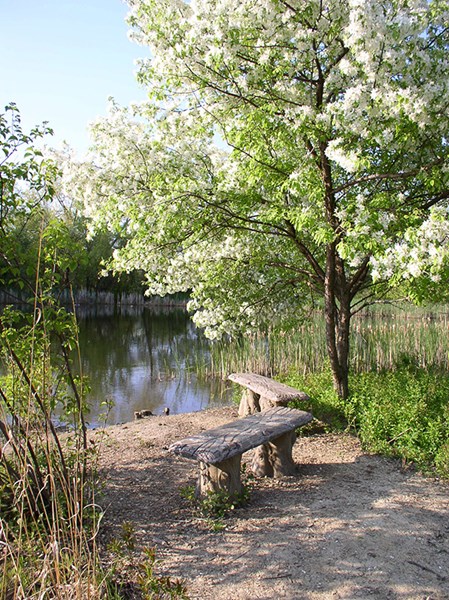Emily Oaks Nature Center pond