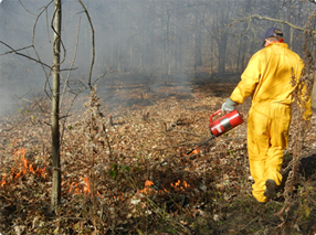 Controlled burn at Emily Oaks Nature Center