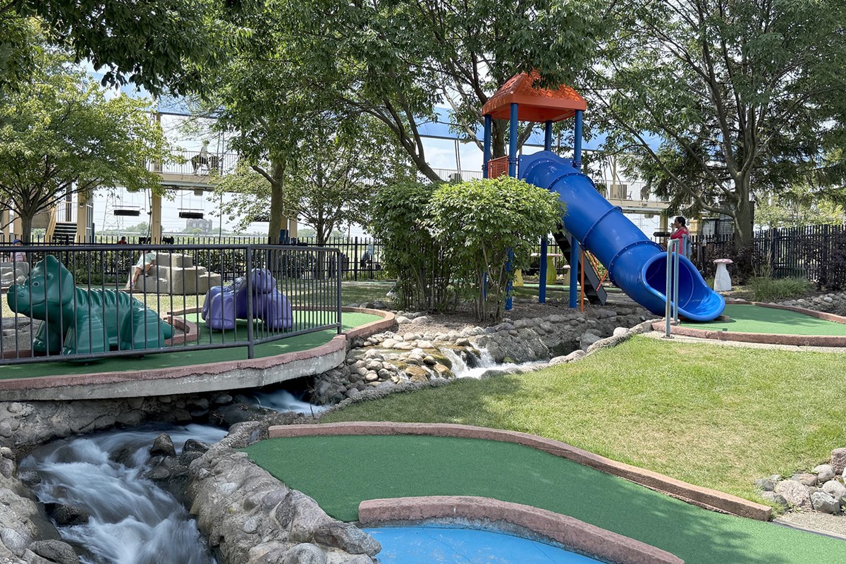 Skokie Sports Park - Photo 6